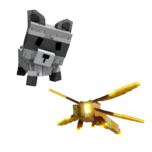 Raccoon + Dragonfly Bundle