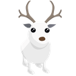Arctic Reindeer - MFR
